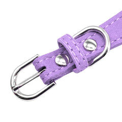 Rhinestone Suede Leather Bowknot Adjustable - PeticaDeals