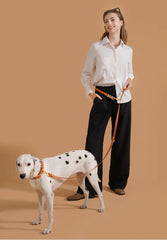 Rope Colorful Multifunctional Luxury Handmade Leash For Medium Large Dogs - PeticaDeals