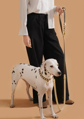 Rope Colorful Multifunctional Luxury Handmade Leash For Medium Large Dogs - PeticaDeals