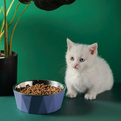 Stainless Steel Cat Bowl - PeticaDeals