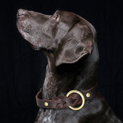 Set Durable Genuine Leather Dog Collars & Leash - PeticaDeals
