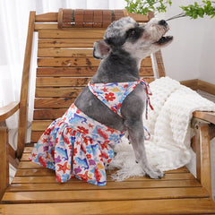 Sexy Bikini Dog Swimsuit Summer - PeticaDeals