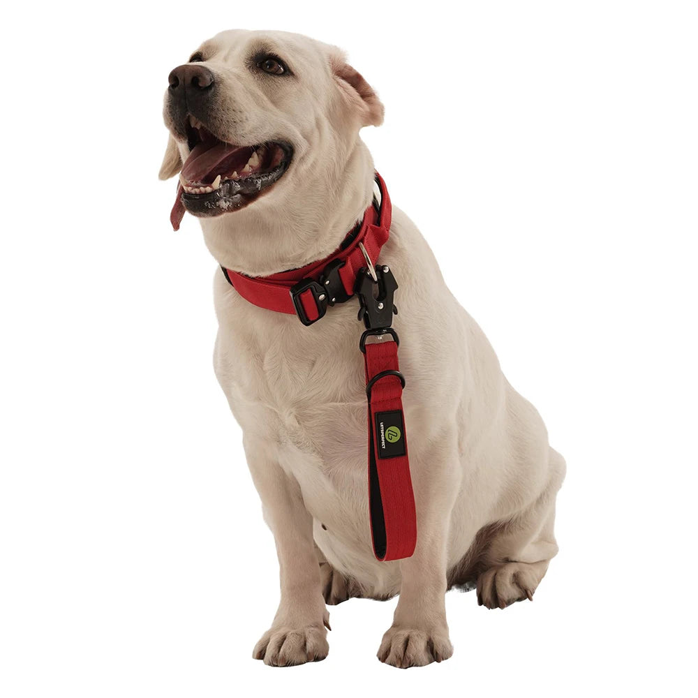 Short Dog Leash Padded Handle Heavy Duty Short Nylon Dog Lead - PeticaDeals