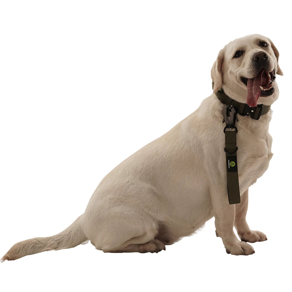 Short Dog Leash Padded Handle Heavy Duty Short Nylon Dog Lead - PeticaDeals