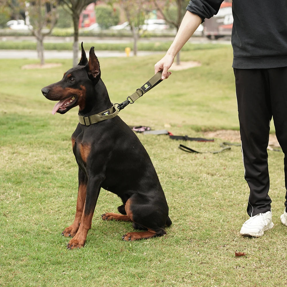 Short Dog Leash Padded Handle Heavy Duty Short Nylon Dog Lead - PeticaDeals