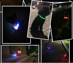 Silicone Led Dog Collar Usb Rechargeable Luminous Dog - PeticaDeals