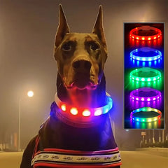 Silicone Led Dog Collar Usb Rechargeable Luminous Dog - PeticaDeals