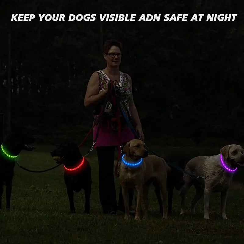 Silicone Led Dog Collar Usb Rechargeable Luminous Dog - PeticaDeals