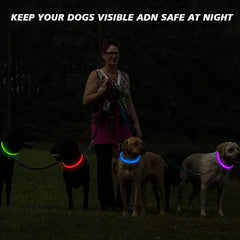 Silicone Led Dog Collar Usb Rechargeable Luminous Dog - PeticaDeals