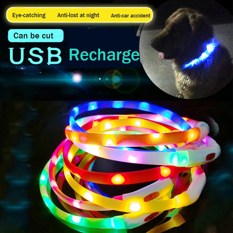 Silicone Led Dog Collar Usb Rechargeable Luminous Dog - PeticaDeals