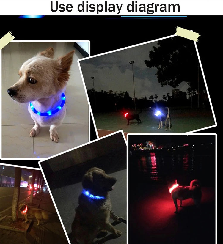 Silicone Led Dog Collar Usb Rechargeable Luminous Dog - PeticaDeals