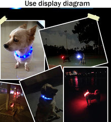 Silicone Led Dog Collar Usb Rechargeable Luminous Dog - PeticaDeals