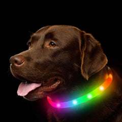 Silicone Led Dog Collar Usb Rechargeable Luminous Dog - PeticaDeals