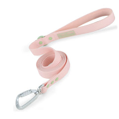 Small Dog Leash New Generation Medium Automated Hook Leash For Dog Walking - PeticaDeals