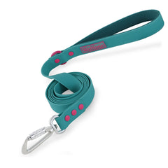 Small Dog Leash New Generation Medium Automated Hook Leash For Dog Walking - PeticaDeals