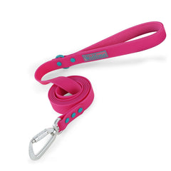 Small Dog Leash New Generation Medium Automated Hook Leash For Dog Walking - PeticaDeals