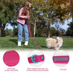 Small Dog Leash New Generation Medium Automated Hook Leash For Dog Walking - PeticaDeals