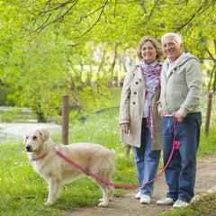 Small Dog Leash New Generation Medium Automated Hook Leash For Dog Walking - PeticaDeals