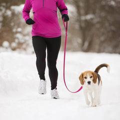Small Dog Leash New Generation Medium Automated Hook Leash For Dog Walking - PeticaDeals