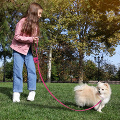 Small Dog Leash New Generation Medium Automated Hook Leash For Dog Walking - PeticaDeals