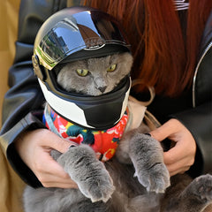 Small Pet Motorcycle Helmet Cat Dog Puppy - PeticaDeals