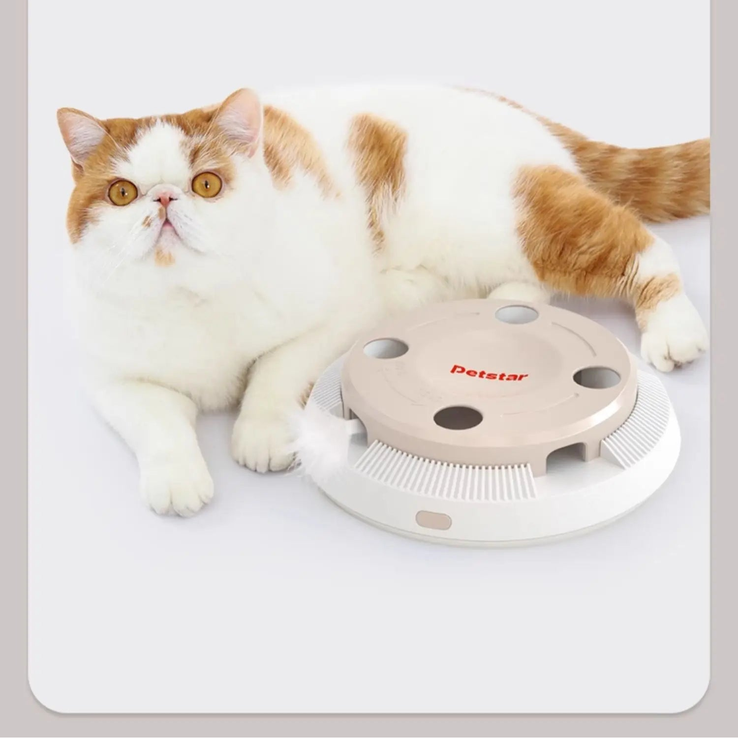 ‌Smart Self-Play Cat Toy with Feather Wand - Auto Rotating Teaser for Boredom Relief - PeticaDeals