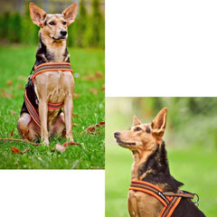 Soft Mesh Padded Nylon Reflective Easy Put-On Dog Harness - PeticaDeals