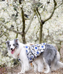 Soft Pet Dog Floral Dress - PeticaDeals