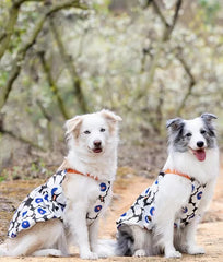 Soft Pet Dog Floral Dress - PeticaDeals