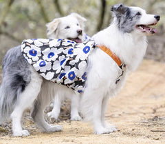 Soft Pet Dog Floral Dress - PeticaDeals