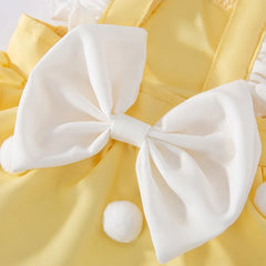 Soft Princess Dresses For Cats & Dogs - PeticaDeals