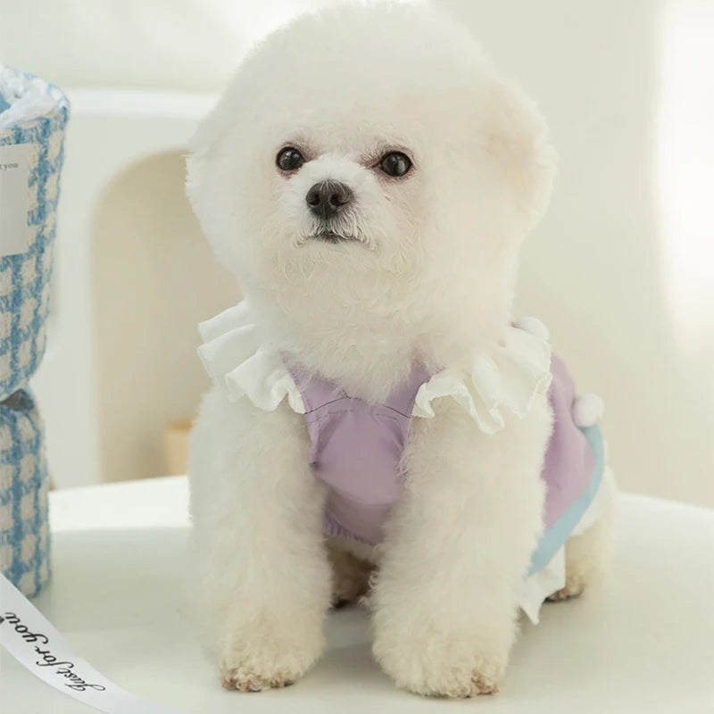 Soft Princess Dresses For Cats & Dogs - PeticaDeals