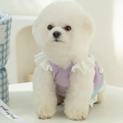 Soft Princess Dresses For Cats & Dogs - PeticaDeals