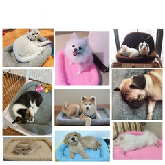 Soft Warm Mat Pet Durable Lamb Wool Sleeping - PeticaDeals