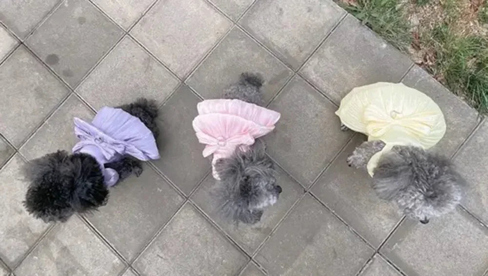 Solid Color Cat Dog Dresses with D-ring for Small Dogs - PeticaDeals