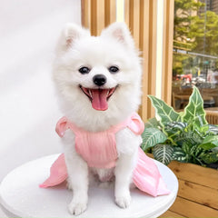 Solid Color Cat Dog Dresses with D-ring for Small Dogs - PeticaDeals