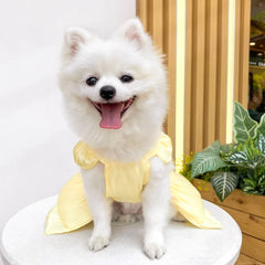 Solid Color Cat Dog Dresses with D-ring for Small Dogs - PeticaDeals