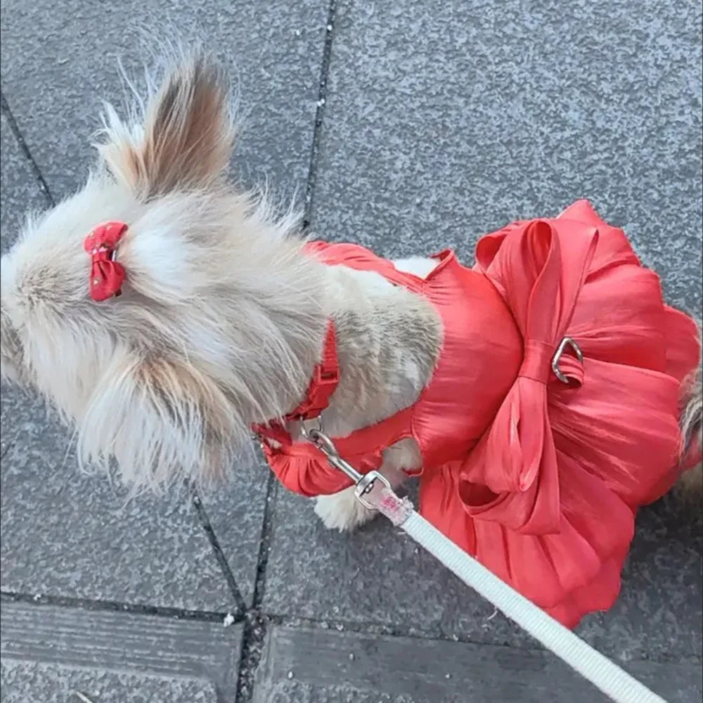 Solid Color Cat Dog Dresses with D-ring for Small Dogs - PeticaDeals