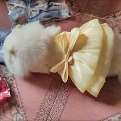 Solid Color Cat Dog Dresses with D-ring for Small Dogs - PeticaDeals
