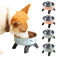 Stainless Steel Cat Bowl High Footed Neck Protection Kitten Bowl Anti-slip Pet Bowl for Dogs Cats - PeticaDeals