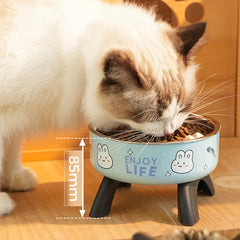 Stainless Steel Cat Bowl High Footed Neck Protection Kitten Bowl Anti-slip Pet Bowl for Dogs Cats - PeticaDeals