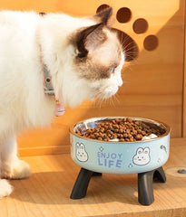 Stainless Steel Cat Bowl High Footed Neck Protection Kitten Bowl Anti-slip Pet Bowl for Dogs Cats - PeticaDeals
