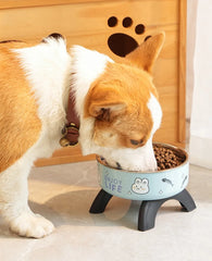 Stainless Steel Cat Bowl High Footed Neck Protection Kitten Bowl Anti-slip Pet Bowl for Dogs Cats - PeticaDeals
