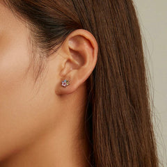 Sterling Silver Colorful Zirconium Paw Women Ear Studs Rainbow Stud Earrings for Girl Fine Jewelry - PeticaDeals