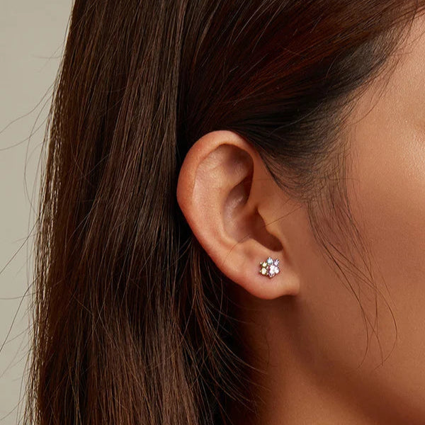 Sterling Silver Colorful Zirconium Paw Women Ear Studs Rainbow Stud Earrings for Girl Fine Jewelry - PeticaDeals