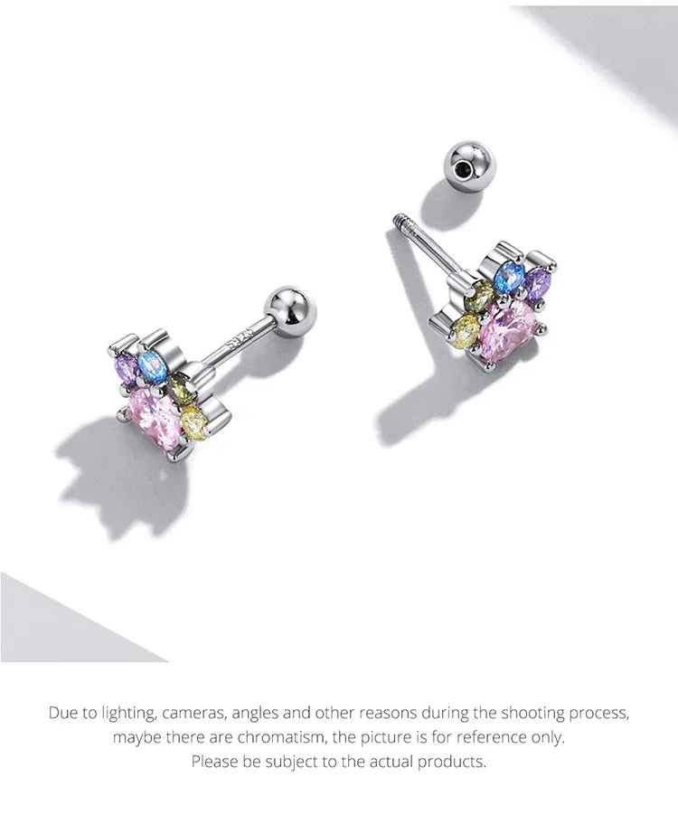 Sterling Silver Colorful Zirconium Paw Women Ear Studs Rainbow Stud Earrings for Girl Fine Jewelry - PeticaDeals