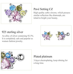 Sterling Silver Colorful Zirconium Paw Women Ear Studs Rainbow Stud Earrings for Girl Fine Jewelry - PeticaDeals