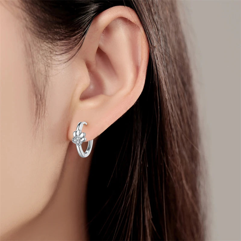 Sterling Silver Double Circle Earrings For Women Shining Zircon Piercing Ear Studs Fine Jewelry - PeticaDeals