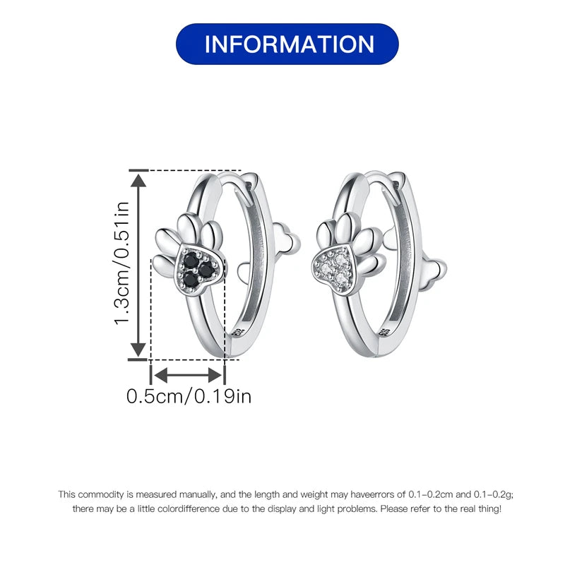 Sterling Silver Double Circle Earrings For Women Shining Zircon Piercing Ear Studs Fine Jewelry - PeticaDeals
