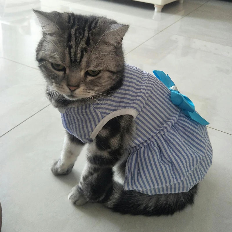 Striped Cat Bow Skirt Cute Pet Dress for Cats - PeticaDeals